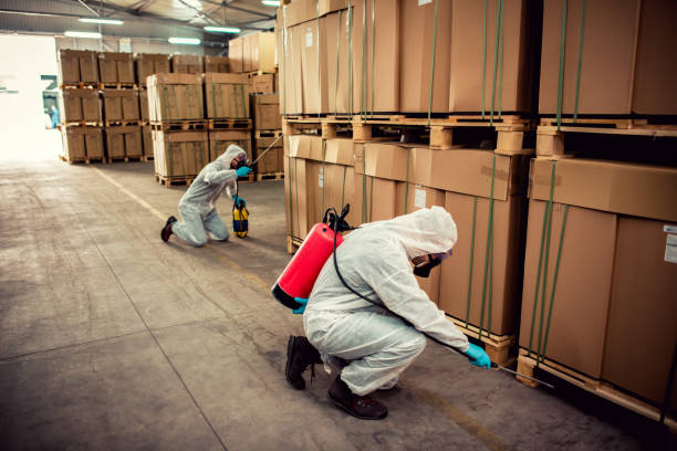 Best Wasp Removal Services  in Munday, TX
