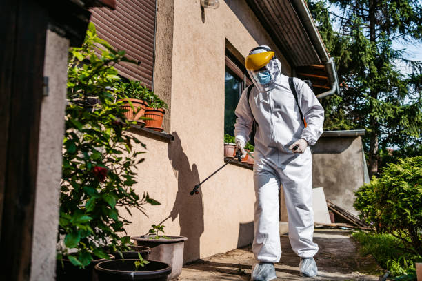 Professional Pest Control in Munday, TX