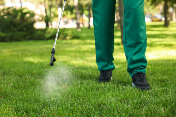 Best Wasp Removal Services  in Munday, TX