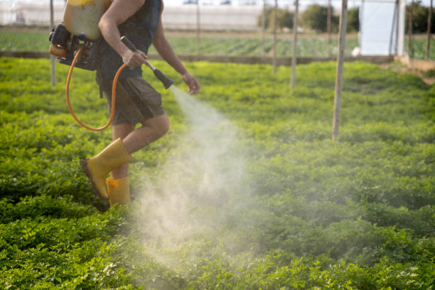 Best Best Pest Control Companies  in Munday, TX