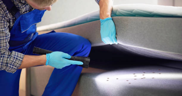 Best Best Pest Control Companies  in Munday, TX