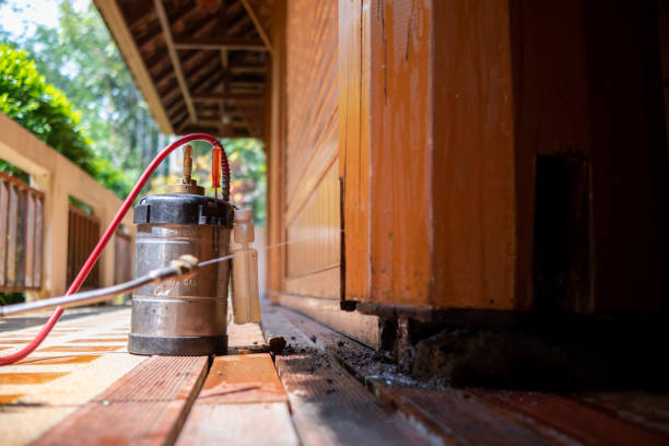 Best Pest Control Treatment  in Munday, TX