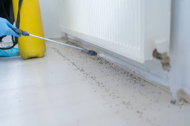 Best Commercial Pest Control Services  in Munday, TX