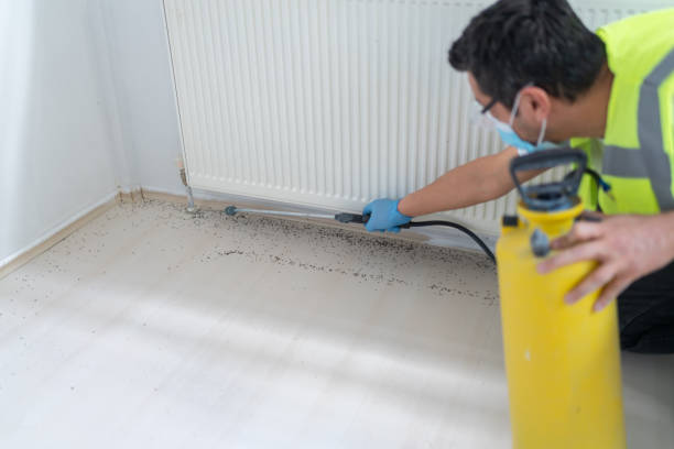 Best Pest Prevention Services  in Munday, TX