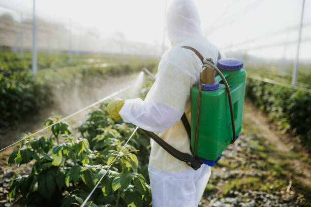 Best Bed Bug Extermination  in Munday, TX